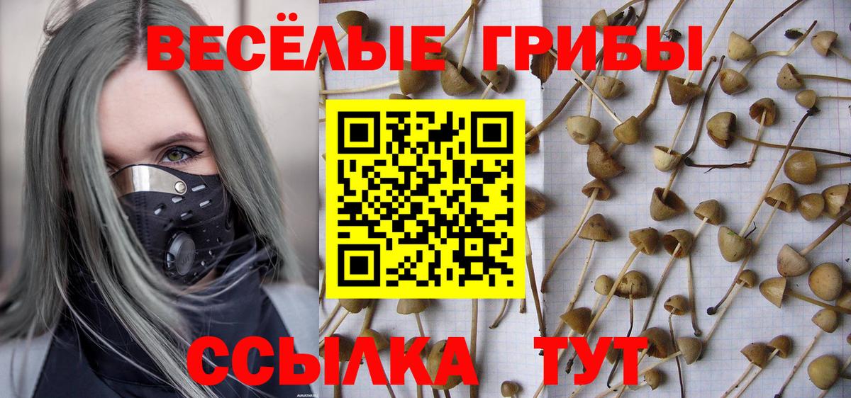 Галлюциногенные грибы ЛСД Орск